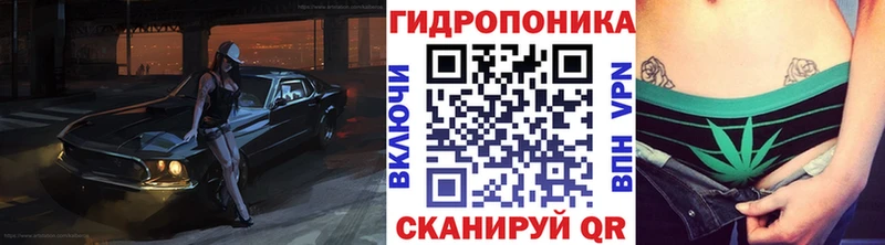 Каннабис OG Kush  Купить закладки  Суровикино 